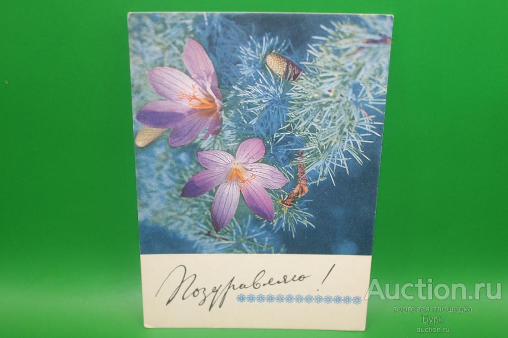 открытка СССР Анвингер 1969 г. Поздравляю! цветы чистая