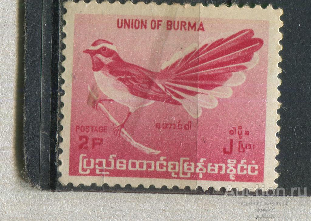 Бирма 1964 Светлая крачка Фауна Птицы