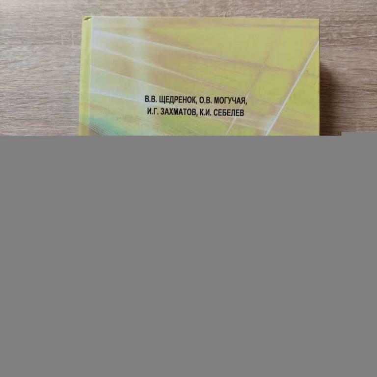 #1819551 Щедренок В. В. Дислокация головного мозга: клинико-лучевая диагностика и патоморфология