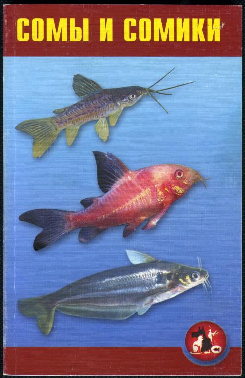 Гуржий А.М. Сомы и сомики. Москва, «Компания Дельта М», 2002.