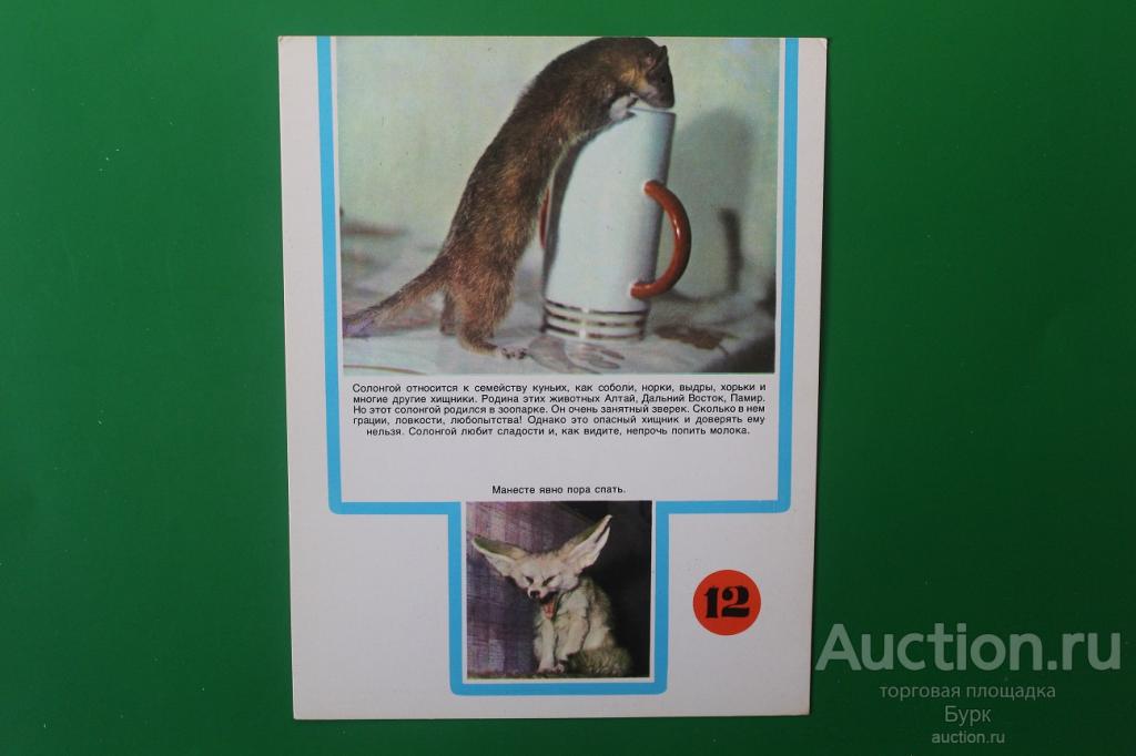 открытка СССР Айболит живет в Баку 1975