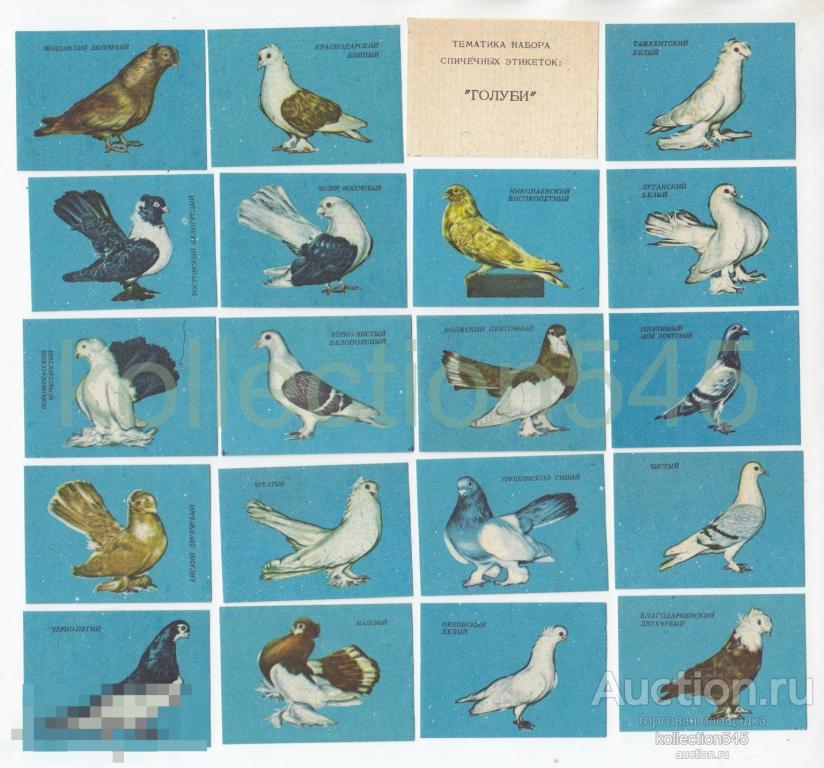 Набор спичечных этикеток ГОЛУБИ. Полный комплект 28 штук.