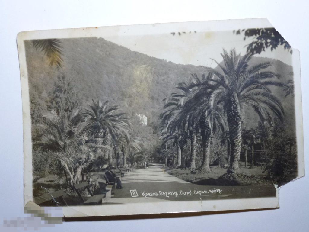 КАВКАЗ АБХАЗИЯ ГАГРЫ ПАЛЬМ. АЛЛЕЯ  *"