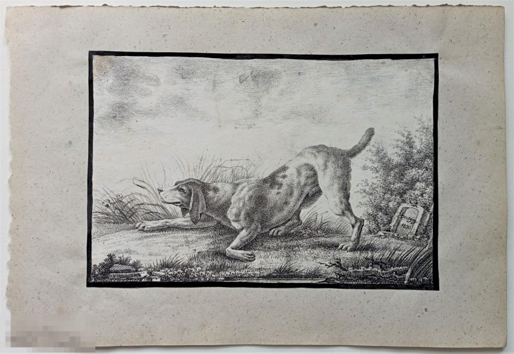 Литография Гончая Собака Охота 19 век