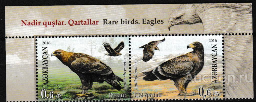 Азербайджан-Беларусь 2016 Хищные птицы Орлы Степной орел Беркут Фауна сцепка**