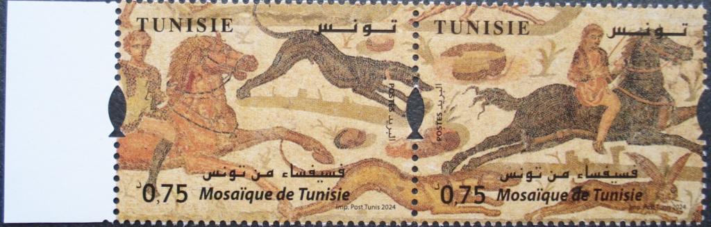2024 г. Тунис. Мозаики Туниса. Сцепка. Левое поле. **
