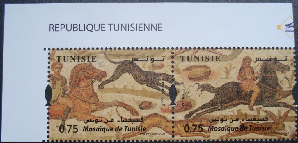 2024 г. Тунис. Мозаики Туниса. Сцепка. Верхний левый угол. **