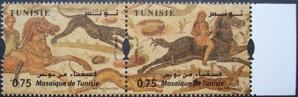 2024 г. Тунис. Мозаики Туниса. Сцепка. Правое поле. **