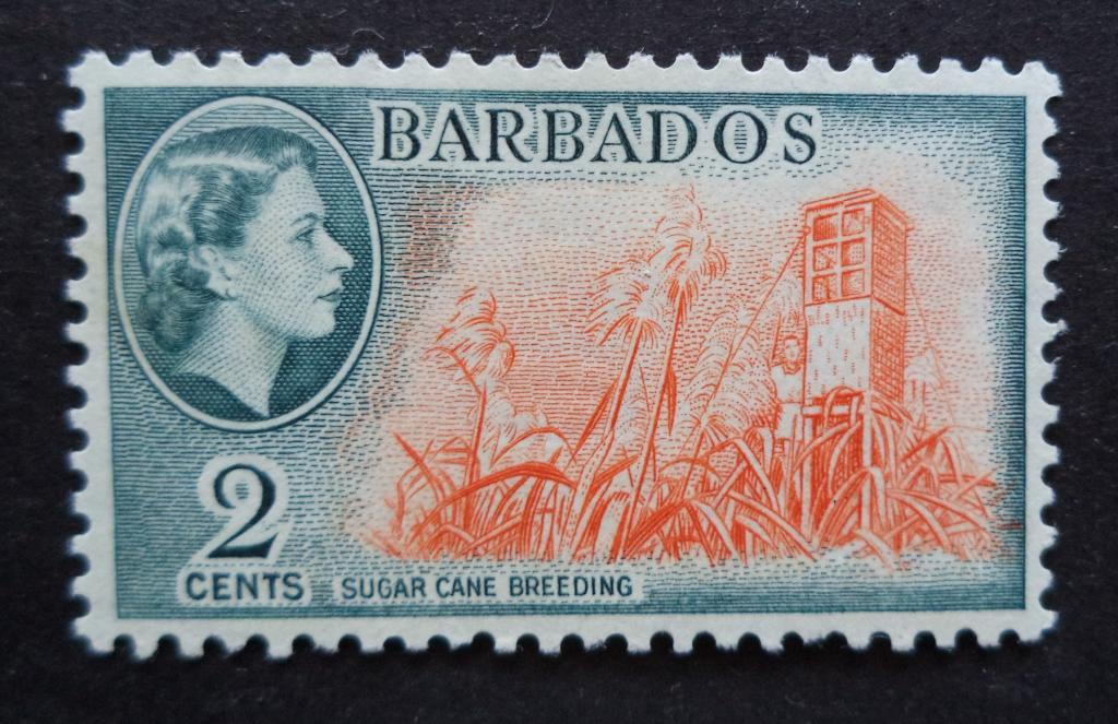 Барбадос 1953 г.  Сахарный тростник  2с.  **  Би.1