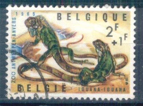 Бельгия 1965 Mi# 1402  Ящерица  гаш d