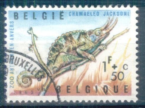 Бельгия 1965 Mi# 1401  Хамелион  гаш d