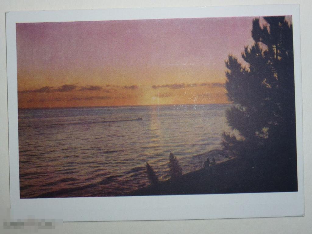 ЮЖНАЯ ЗАРЯ ФОТО ПАНОВА