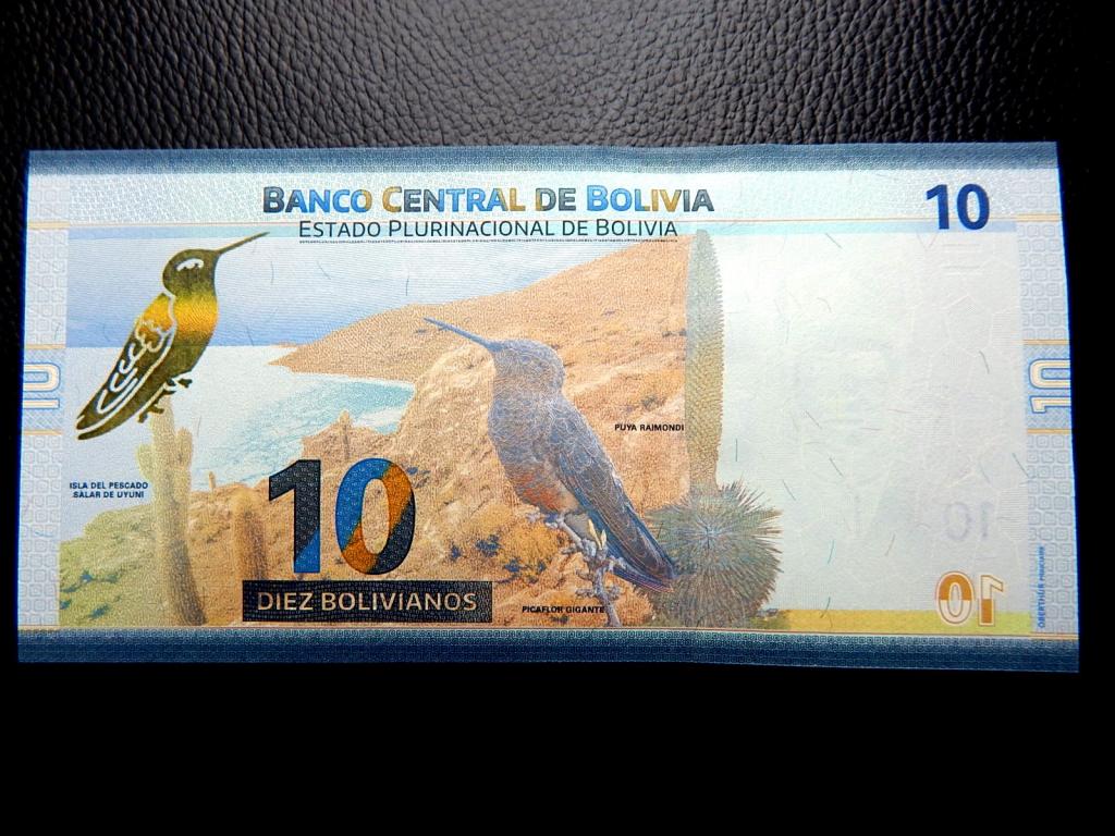 Бона 10 боливиано 1986 года Боливия А318393164 UNC