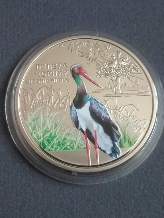 Украина 2024 года 5 гривен. Чёрный аист. Чернобыль, возраждение.