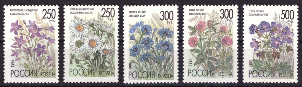 Россия 1995 Полевые цветы России Флора **