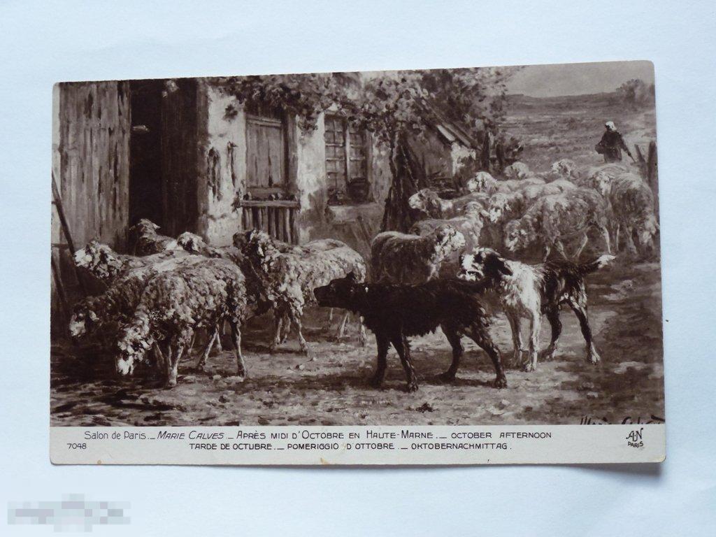 ПАРИЖ САЛОН СОБАКИ И ОВЦЫ_