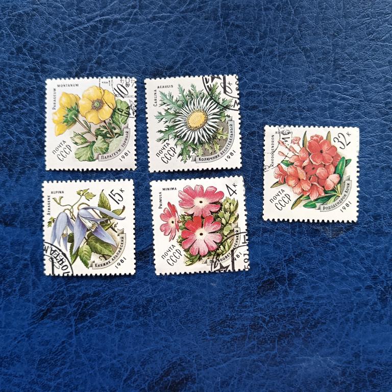Марка .СССР 1981 год Цветы Карпат альбом 4 лист 10