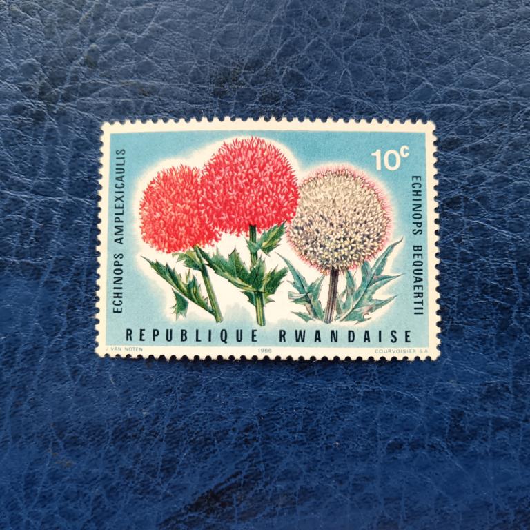 Марка . Руанда Цветы. Мордовник  1966 год  альбом 4 лист 10