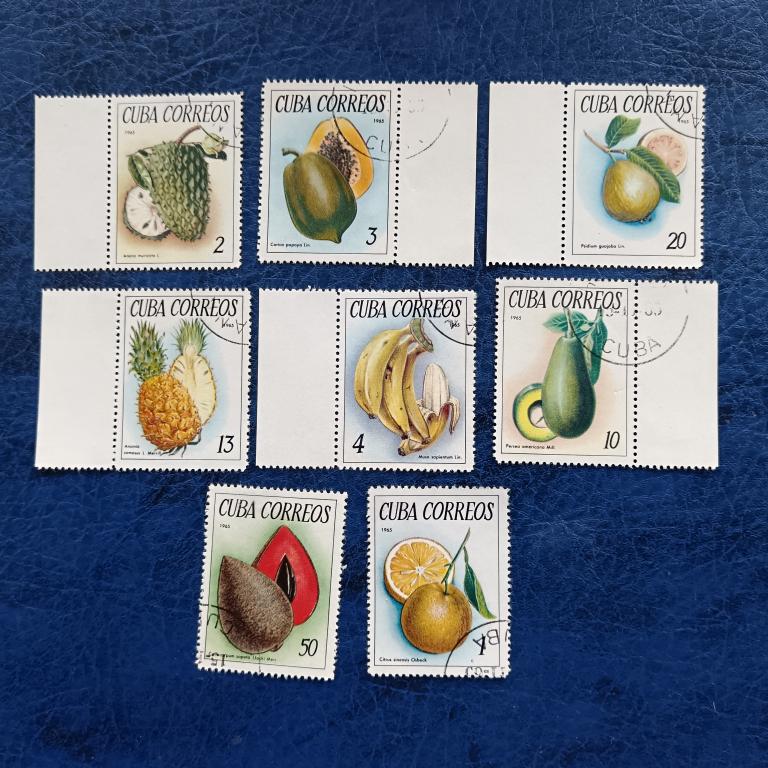 Марки. Куба Фрукты 1965 гаш альбом 5 лист 2