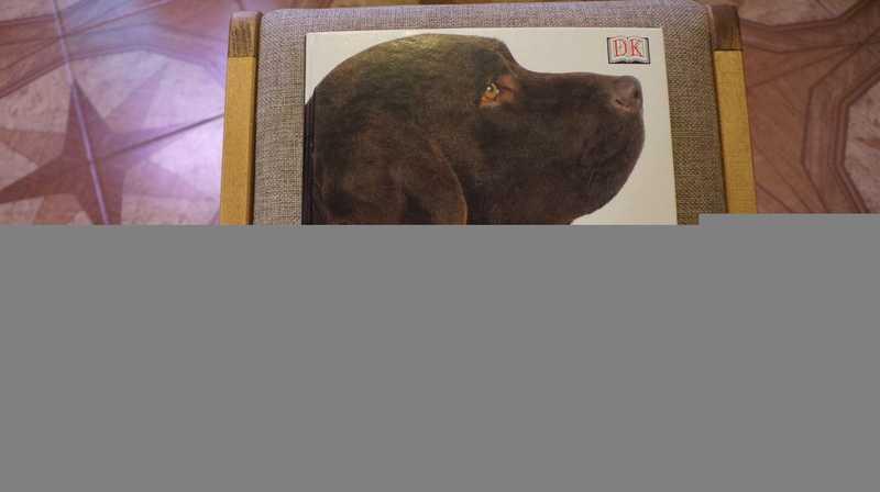 #1821399 Фогл Брюс Собаки: Новая энциклопедия