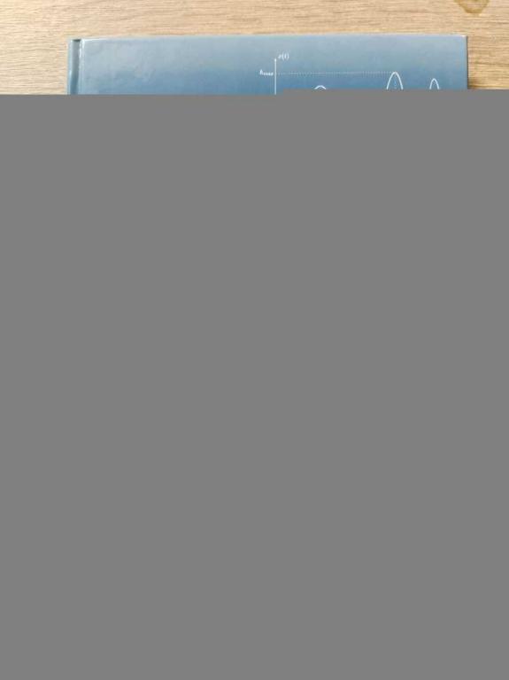 #1821477 Семаков С. Л. Выбросы случайных процессов. Приложения в авиации