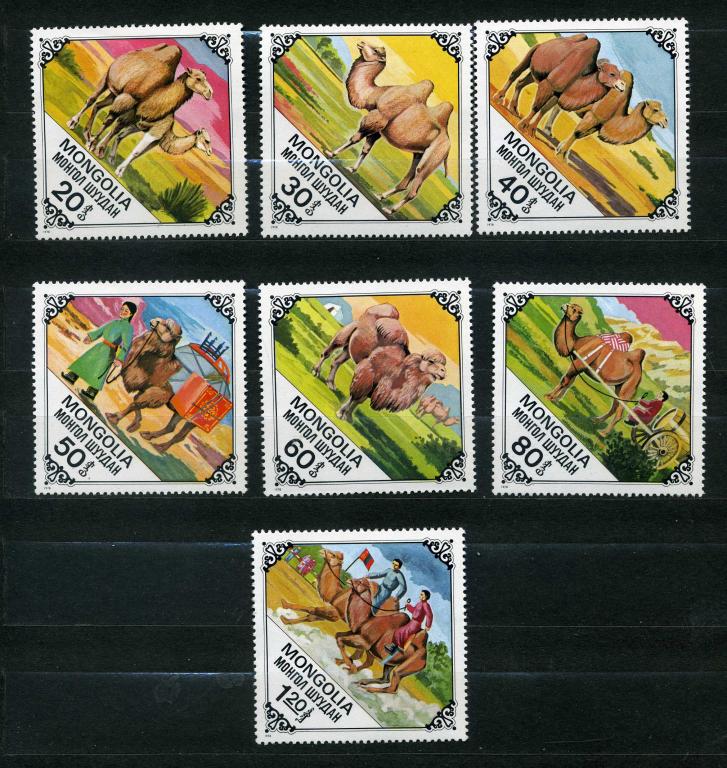 Монголия. Бактрийские верблюды. Фауна. Серия. 1978**