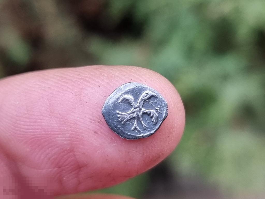 Серебро. Монета-Чешуйка-Деньга-Птичка-Иван Грозный.