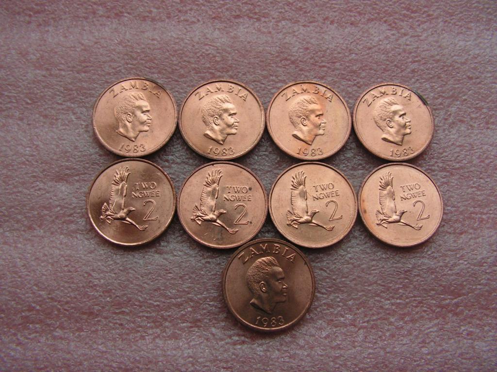 Замбия 2 нгвее 1983 a-unc