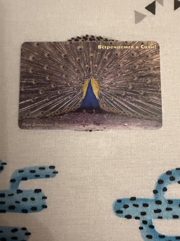 Телефонная карта Сочи. Сочиэлектросвязь. Парк Дендрарий. Павлин. 150 ед. Длинный номер. Ранняя.