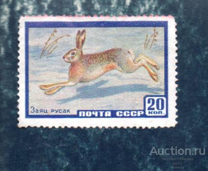 СССР 1960 Животные. Заяц-русак ФАУНА ЧИСТ