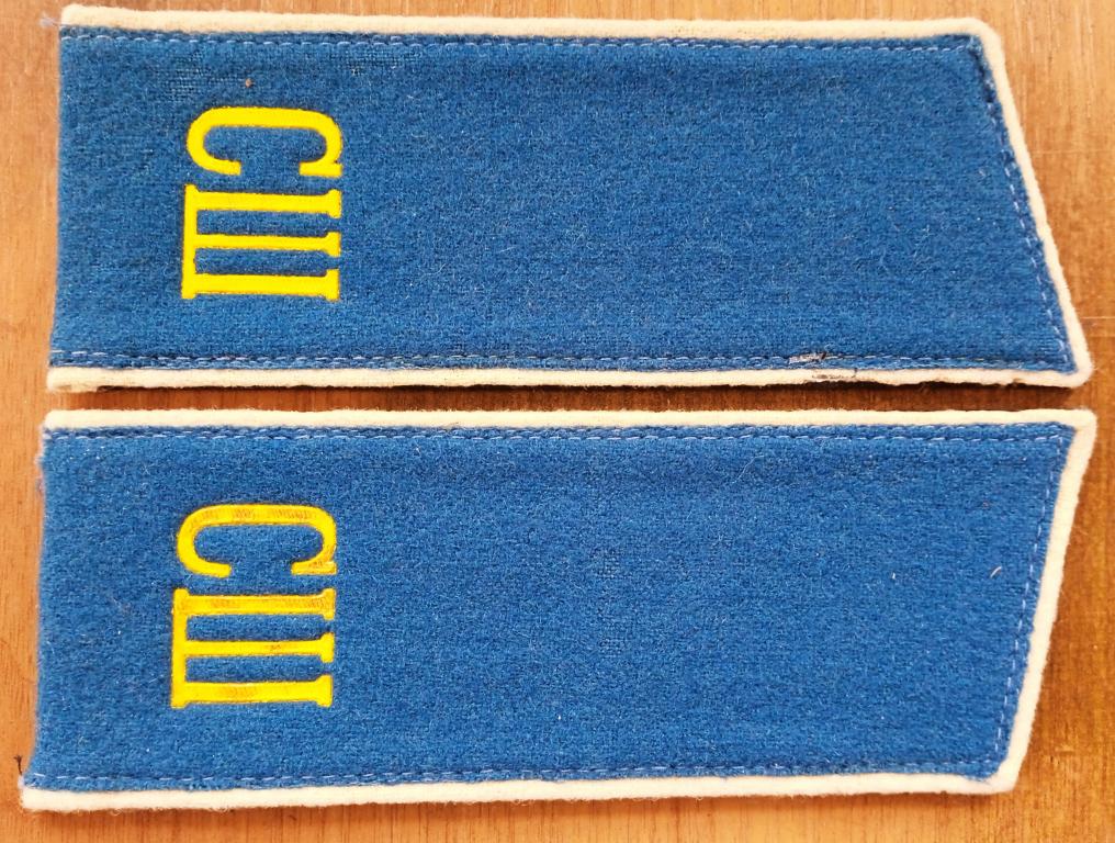 Погоны  учащихся специальных школ-интернатов с начальной лётной подготовкой, обр. 1988г.