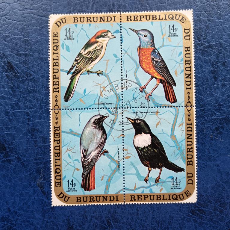 Марки Бурунди 1970 год Птицы гаш альбом 6 лист 2