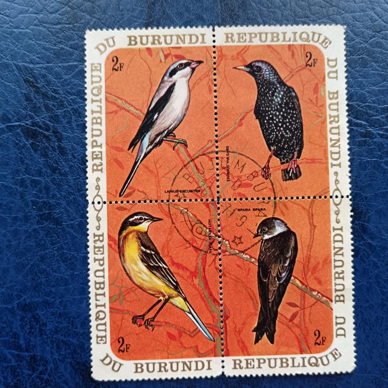 Марки Бурунди 1970 год Птицы гаш альбом 6 лист 2