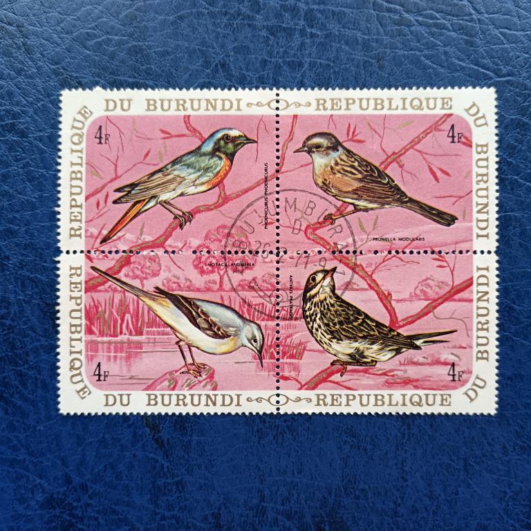 Марки Бурунди 1970 год Птицы гаш альбом 6 лист 2