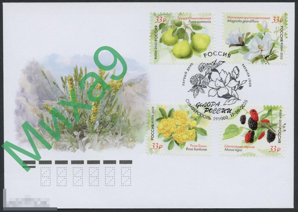 2025 КПД Флора России Растения Крыма Груша Магнолия Роза Шелковица СГ Симферополь