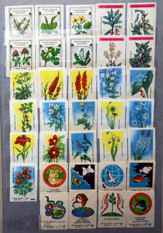 ЛЕКАРСТВЕННЫЕ РАСТЕНИЯ. ДИКОРАСТУЩИЕ РАСТЕНИЯ и др. набор 34 штук спичечные этикетки