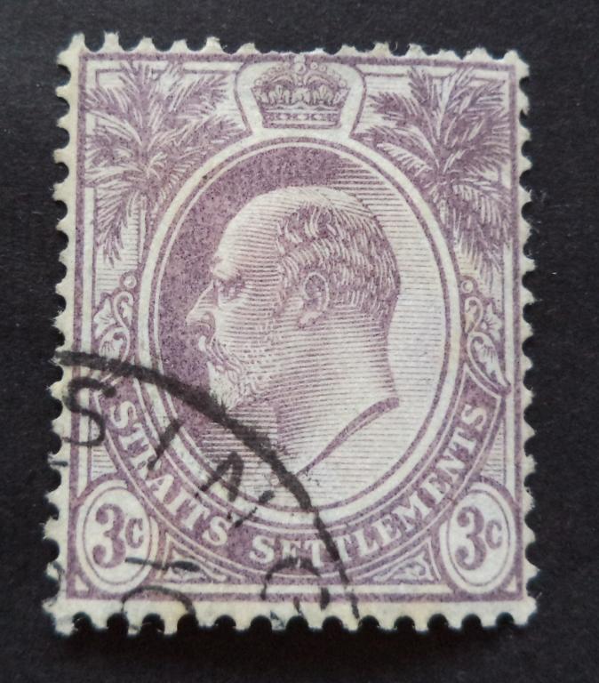 Стрейтс Сетлментс  1904 г.   Стандарт  3с.   гаш.   Би.3