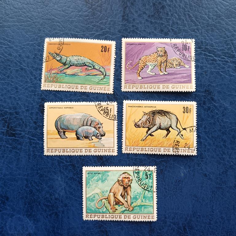 Марки. Гвинея 1968 год. Животные. Фауна. Гаш  альбом 6 лист 5