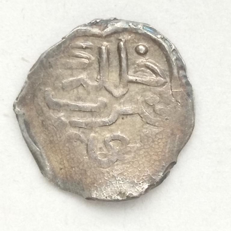 Дирхем, данг Шадибек хан, чекан Булгар   (09/г-5