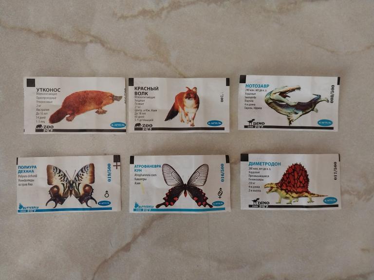 Вкладыши flora dino картель лотом см описание