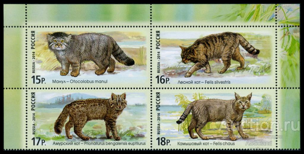 Россия 2014. 1846-1849. Фауна России. Дикие кошки. Вп.
