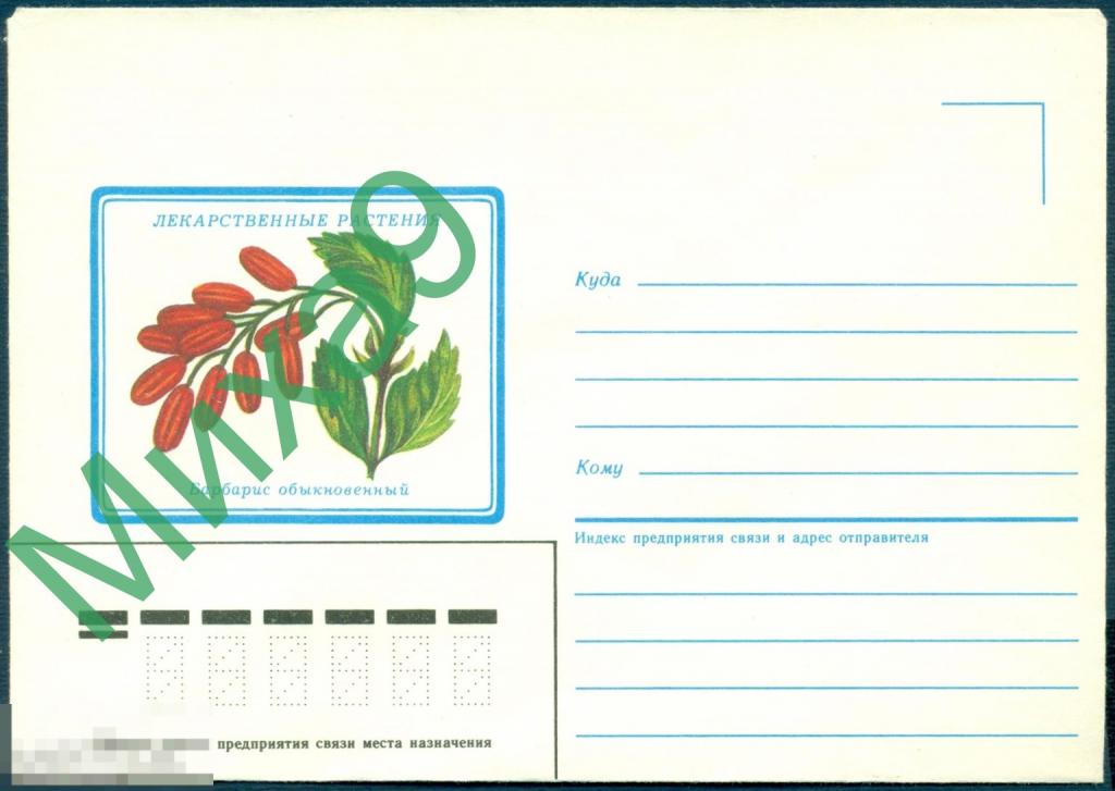 1986 неМК Лекарственные растения Барбарис обыкновенный Флора