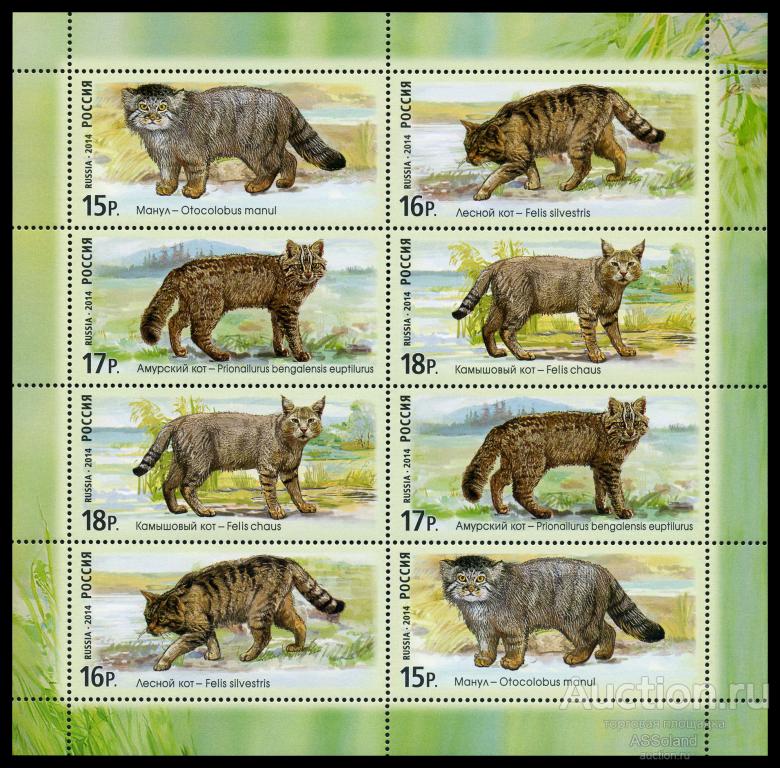 Россия 2014. 1846-1849. Фауна России. Дикие кошки. МЛУФ.