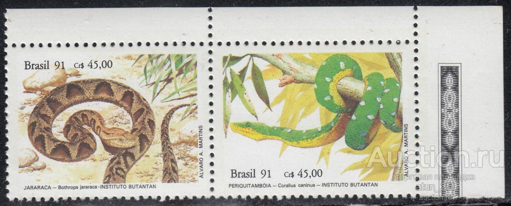 Бразилия. 1991 год. Институт. Музей. Фауна. 2 марки. Пара. Половина серии