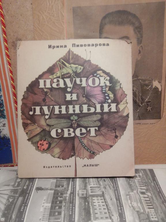 Книжка-игрушка..И.Пивоварова.паучок и лунный свет.Москва.1965г.СССР.