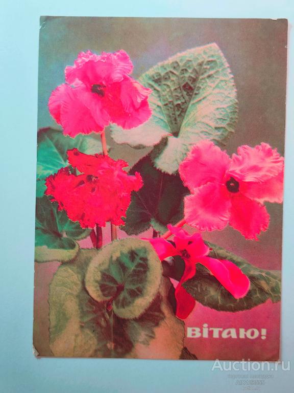 Открытка чистая Поздравляю Цветы Флора Шамшин Сольдат 1971 год УССР украинский