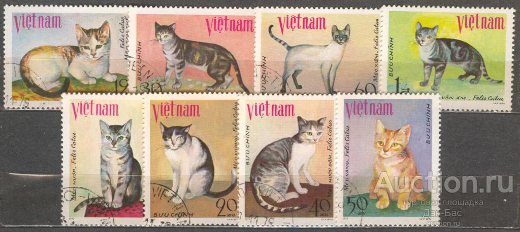 Вьетнам 1979 фауна домашние животные  кошки зуб
