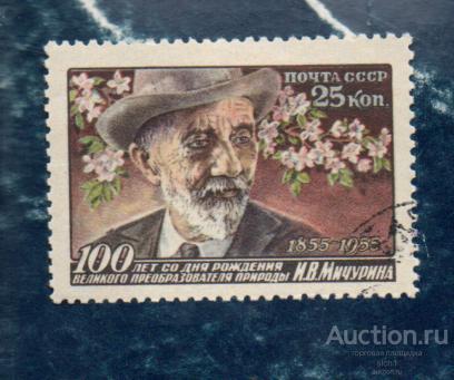 СССР 1956  100 ЛЕТ СО ДНЯ РОЖДЕНИЯ И.В. МИЧУРИНА (1855-1935)  ГАШЁН