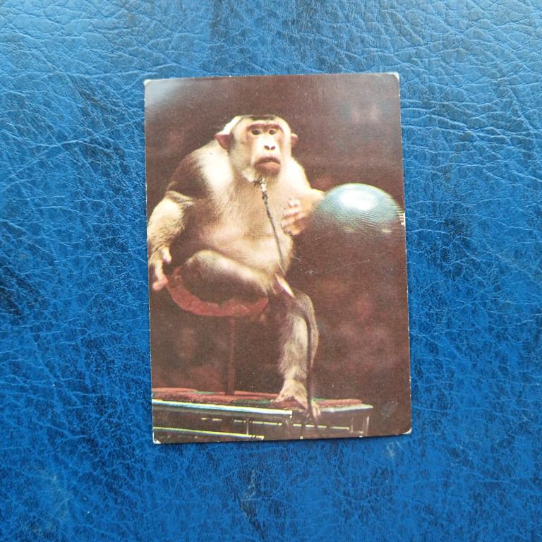 Календарь Цирк  1983 год пакет 3