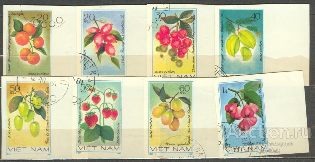 Вьетнам  1981 фрукты флора б/з